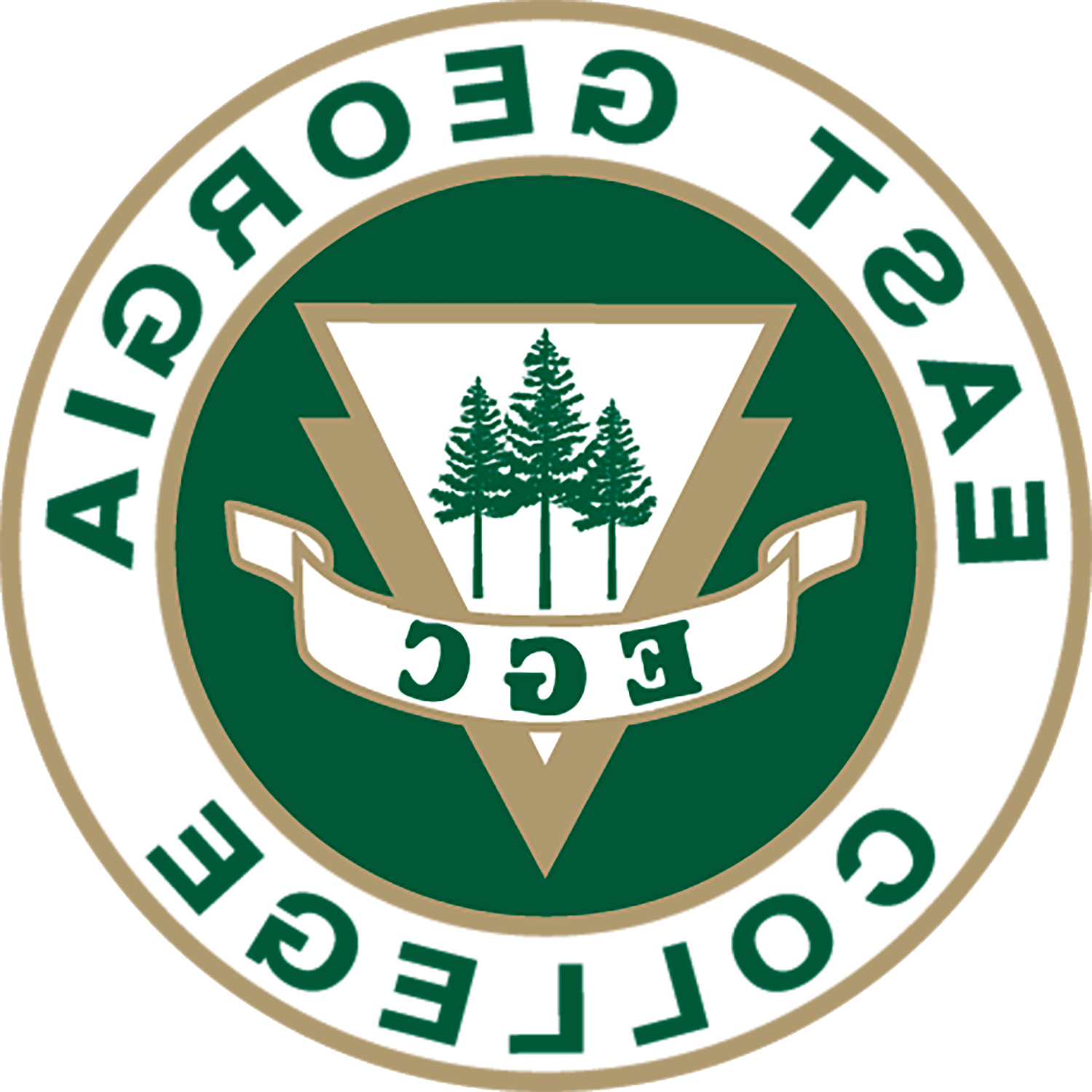 East Georgia 大学 logo